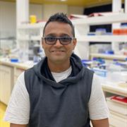 Rajesh Ramanathan | About | RMIT University